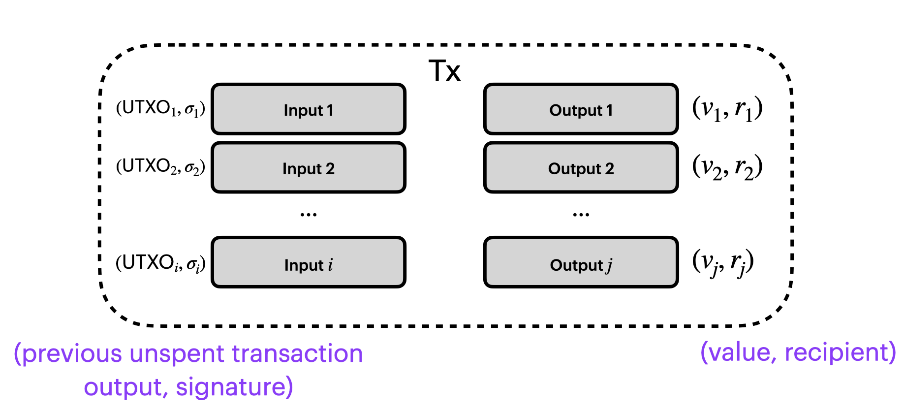 image showing a shielded transaction with i spends and j outputs